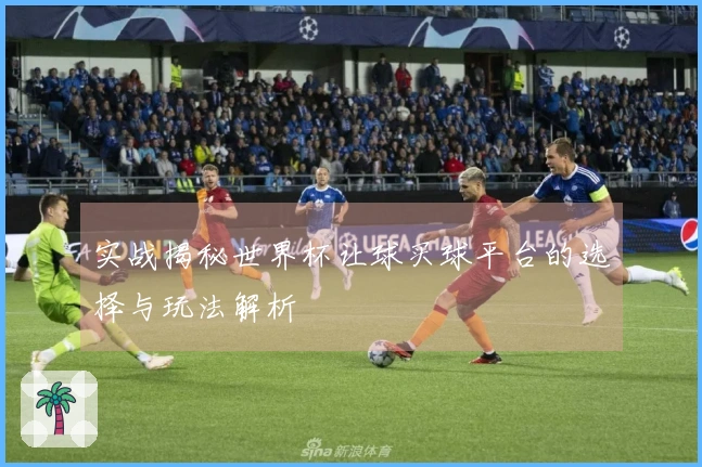 实战揭秘世界杯让球买球平台的选择与玩法解析
