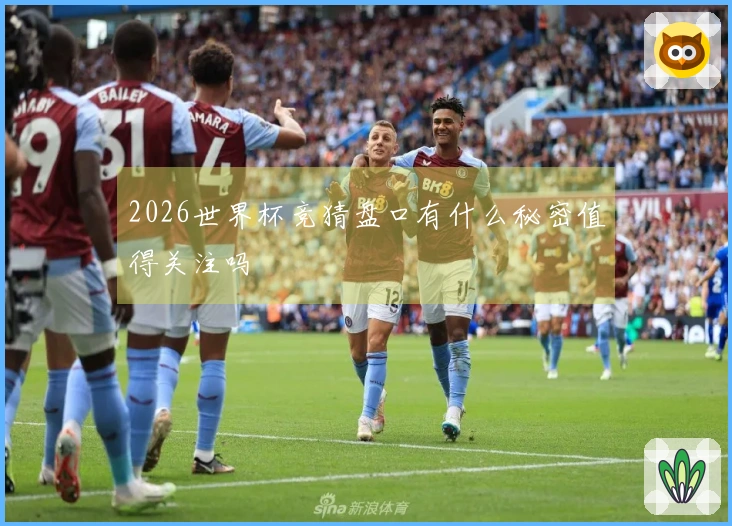 2026世界杯竞猜盘口有什么秘密值得关注吗