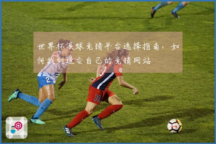 世界杯滚球竞猜平台选择指南，如何找到适合自己的竞猜网站