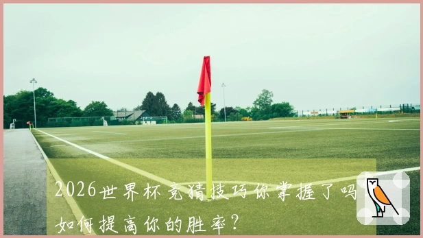 2026世界杯竞猜技巧你掌握了吗？如何提高你的胜率？
