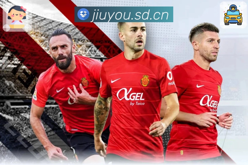 资料与数据认证展示